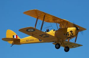 Tiger Moth. D.H. 82