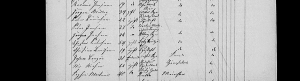 Peter and Christian Bundesen, 1860 Census, birthplace Lundtoft